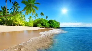 Yahoo Summer Beach Wallpaper