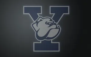 Yale University Bulldogs Logo On Grey Wallpaper