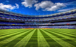 Yankees Stadium Green Grass Wallpaper