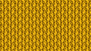 Yellow Chrysanthemum Blossom Wallpaper