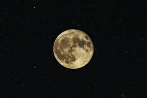 Yellow Luna Full Moon Starry Night Wallpaper