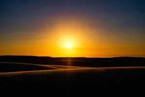 Yellow Orange Desert Sun Wallpaper