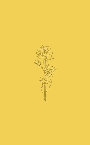 Yellow Rose Aesthetic Sketches Wallpaper