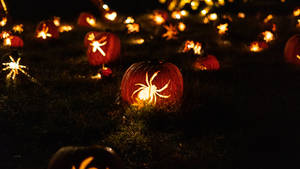 Yellow Spider Decors During Night Time Wallpaper