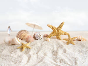 Yellow Starfish And Shells Wallpaper