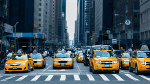 Yellow Taxi Beside Pedestrian Lane Wallpaper