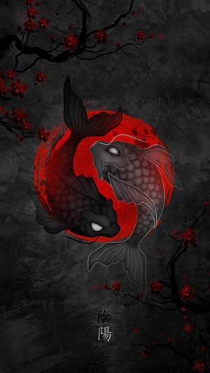 Yin And Yang Fish Iphone Wallpaper