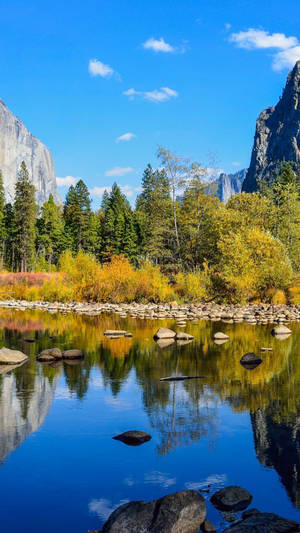 Yosemite National Park Portrait Wallpaper