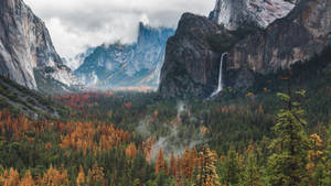 Yosemite National Park Tunnel View Wallpaper