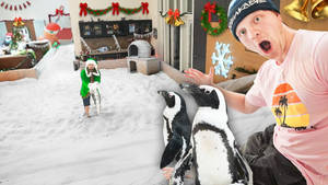 Youtuber Unspeakable With Indoor Snow Wallpaper