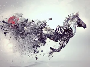 Zebra Animal Art Wallpaper