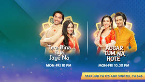 Zee Tv Back To Back Show Wallpaper