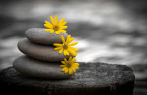 Zen Desktop Stone Stack With Yellow Flowers Wallpaper
