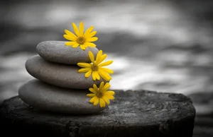 Zen Desktop Stone Stack With Yellow Flowers Wallpaper