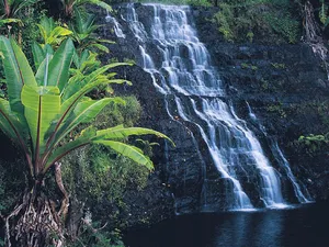 Zimbabwe Bridal Veil Falls Wallpaper
