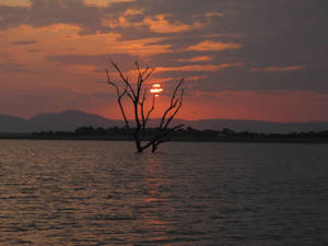 Zimbabwe Lake Kariba Wallpaper